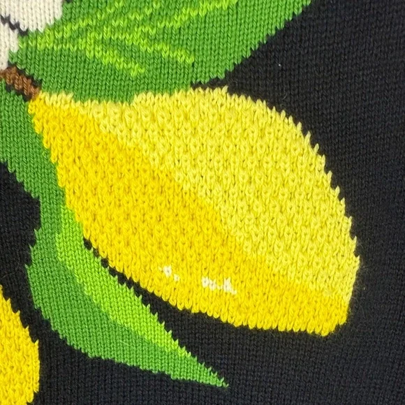 Talbots Navy Fresh Lemons Intarsia Crew Neck Long Sleeve XLP Sweater Knit - Picture 7 of 10